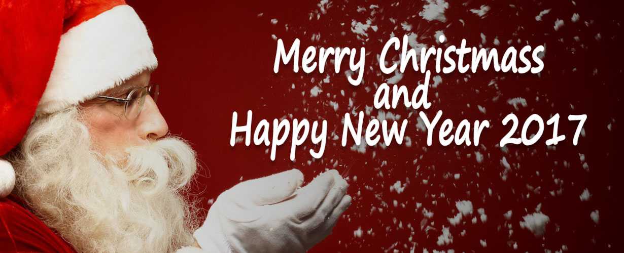 Merry Christmas and Happy New Year 2017