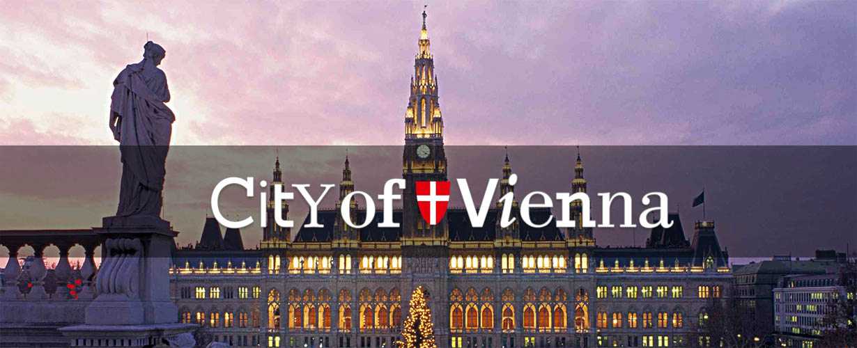 Vienna city cover photo