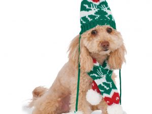 christmas-knit-pom-pom-hat-and-scarf-pet-costume